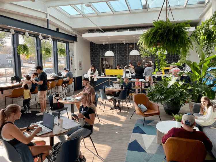 Cafe Aqui bright sunlit interior filled with plants
