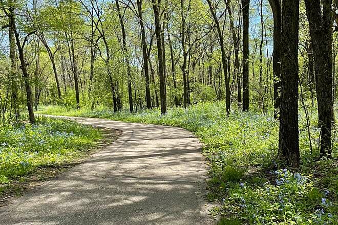 Paved Mayowood / Zumbro South bike path through woods